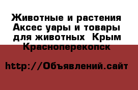 Животные и растения Аксесcуары и товары для животных. Крым,Красноперекопск